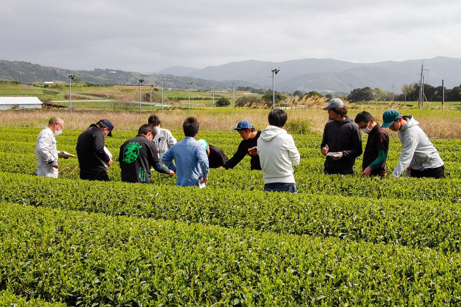 緑萠会 現地検討会